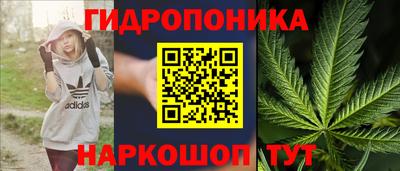 марихуана Ачхой-Мартан