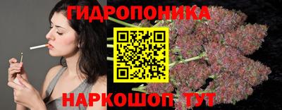 марихуана Ачхой-Мартан
