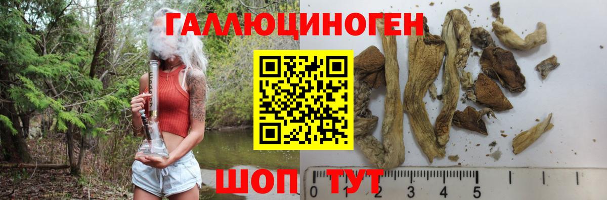 Галлюциногенные грибы MAGIC MUSHROOMS Санкт-Петербург